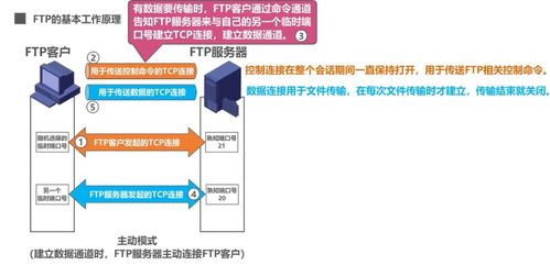 計算機網絡應用層 域名系統DNS、文件傳送協議FTP與計算機系統服務